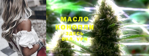 скорость Бородино