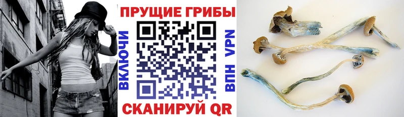 купить  сайты  Горнозаводск  Псилоцибиновые грибы ЛСД 